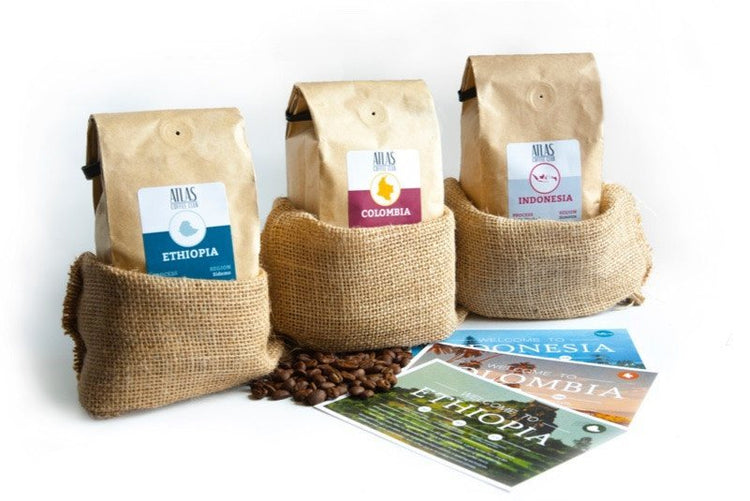 BI-ANNUAL SUBSCRIPTION